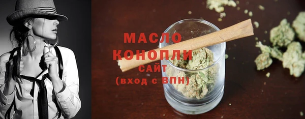 сатива Анжеро-Судженск