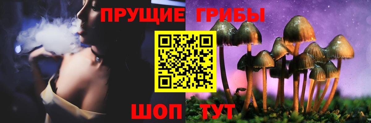 наркота  Псилоцибиновые грибы прущие грибы  Вход с VPN  Мелеуз 
